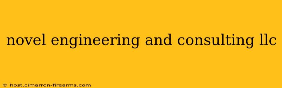 novel engineering and consulting llc