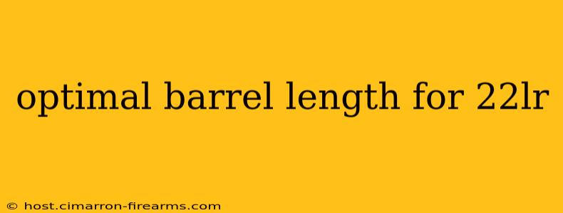 optimal barrel length for 22lr