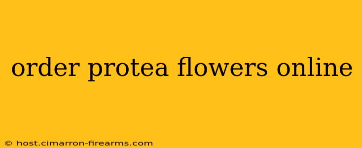 order protea flowers online