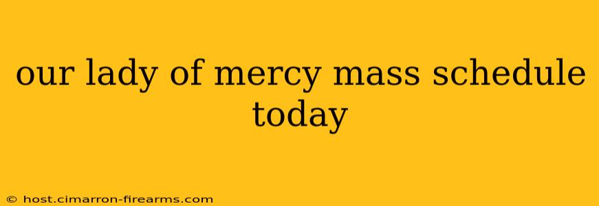 our lady of mercy mass schedule today