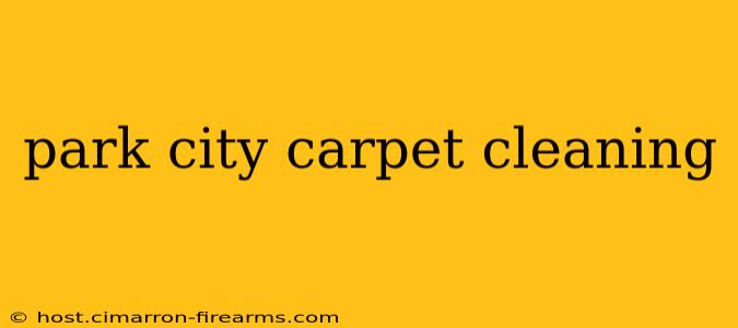 park city carpet cleaning