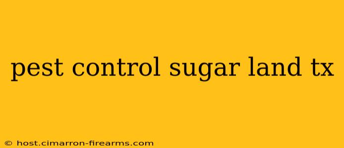 pest control sugar land tx