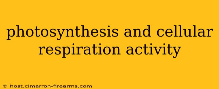 photosynthesis and cellular respiration activity