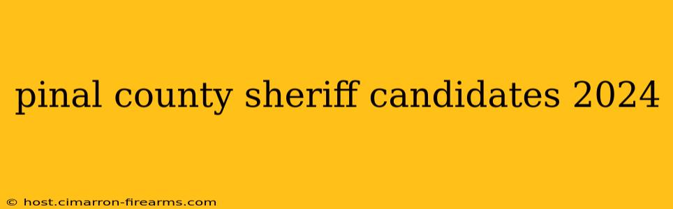 pinal county sheriff candidates 2024