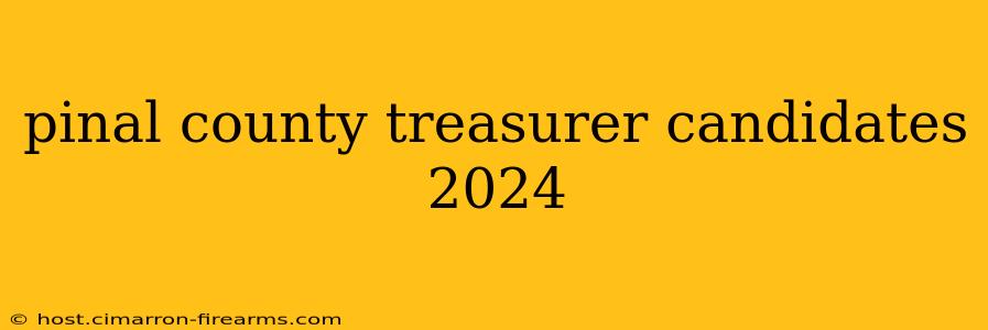 pinal county treasurer candidates 2024