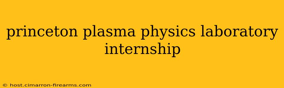 princeton plasma physics laboratory internship