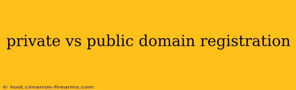 private vs public domain registration