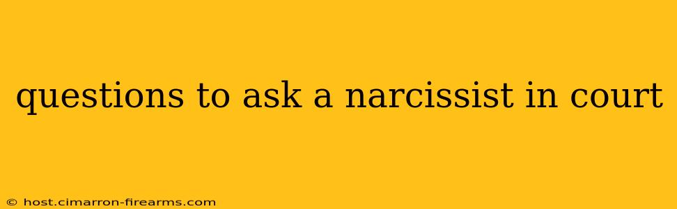 questions to ask a narcissist in court