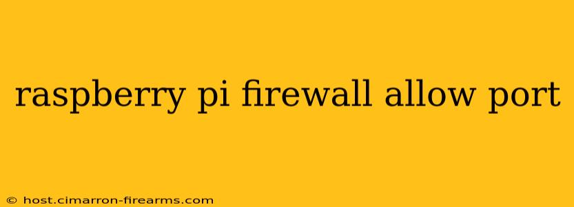 raspberry pi firewall allow port