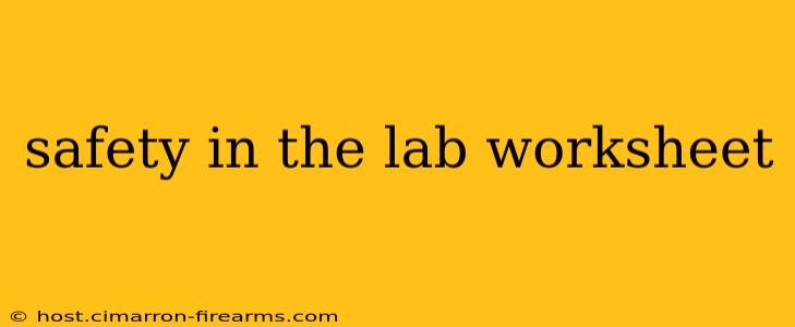 safety in the lab worksheet