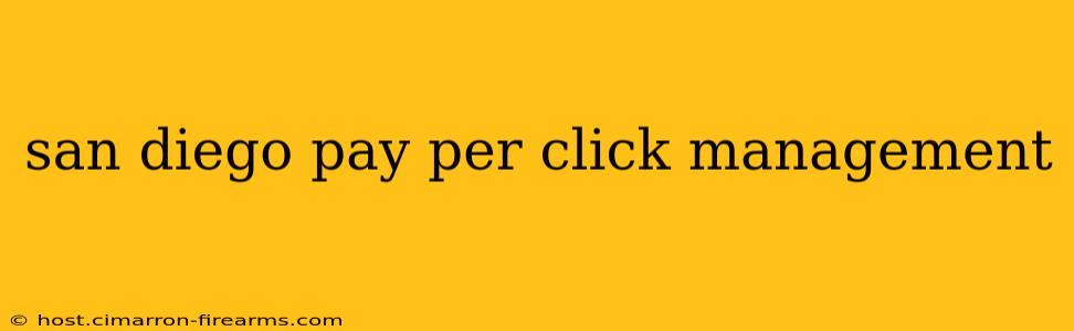 san diego pay per click management