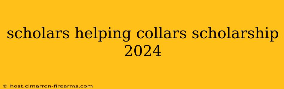 scholars helping collars scholarship 2024