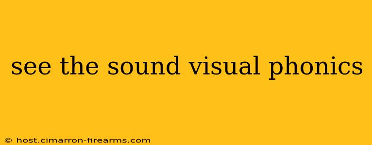 see the sound visual phonics