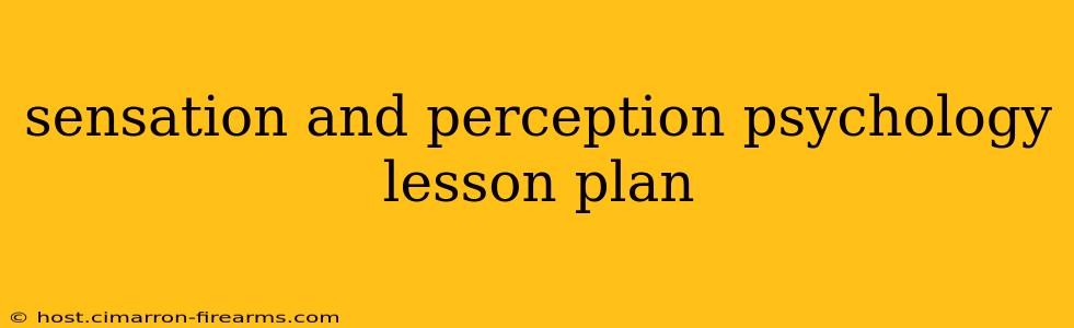 sensation and perception psychology lesson plan