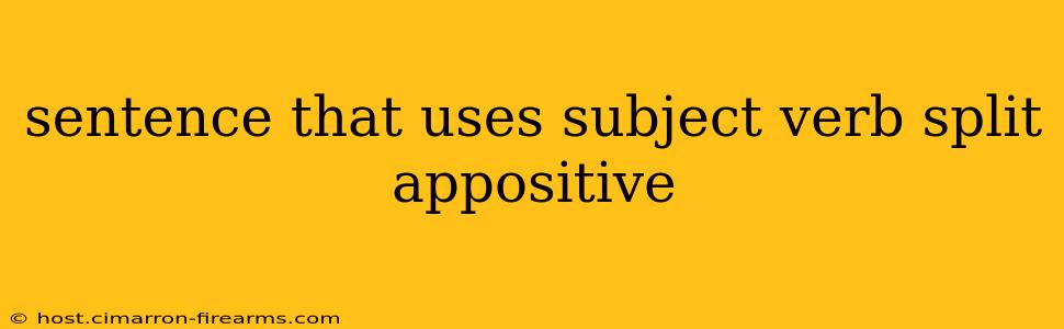 sentence that uses subject verb split appositive