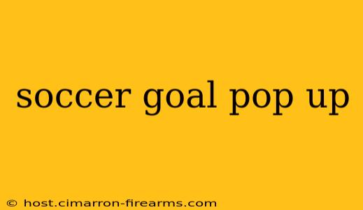 soccer goal pop up