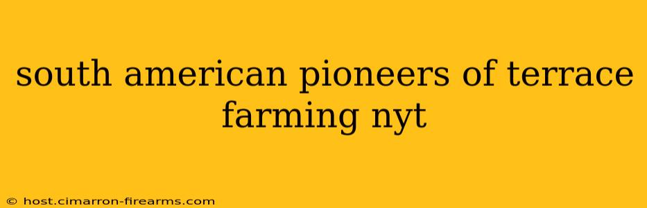 south american pioneers of terrace farming nyt