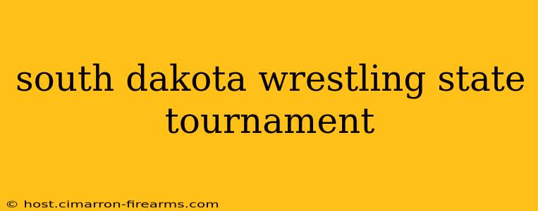 south dakota wrestling state tournament