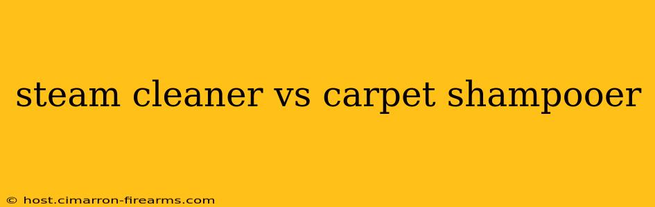 steam cleaner vs carpet shampooer