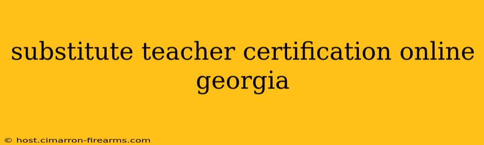 substitute teacher certification online georgia