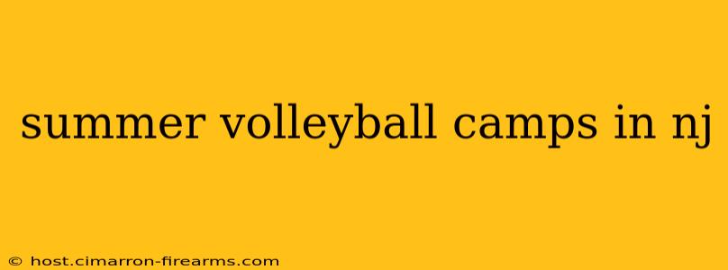 summer volleyball camps in nj