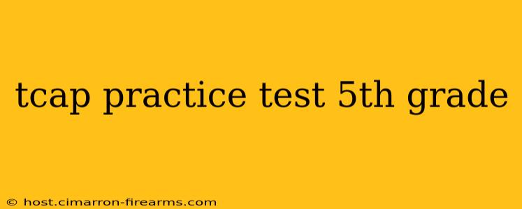 tcap practice test 5th grade