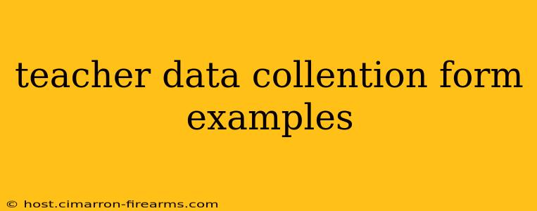 teacher data collention form examples