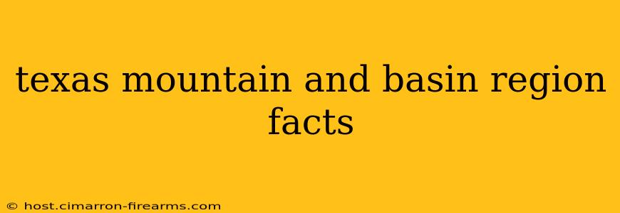 texas mountain and basin region facts