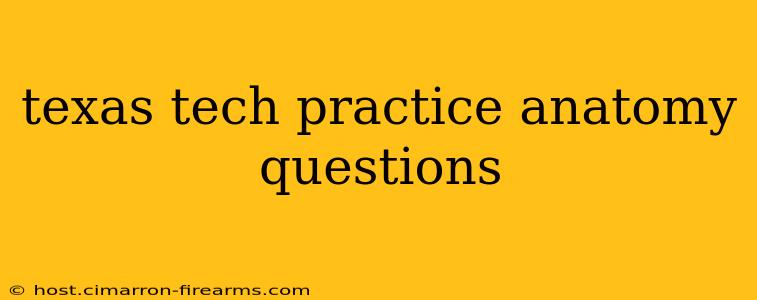 texas tech practice anatomy questions