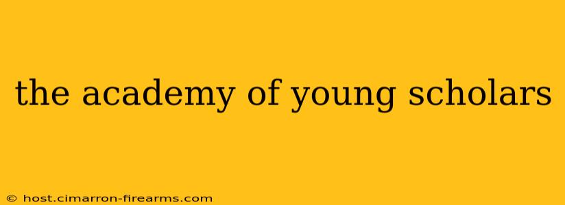 the academy of young scholars