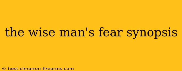 the wise man's fear synopsis