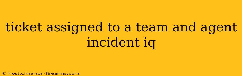 ticket assigned to a team and agent incident iq