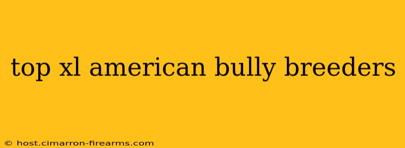 top xl american bully breeders