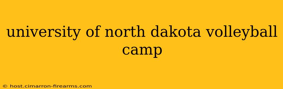 university of north dakota volleyball camp