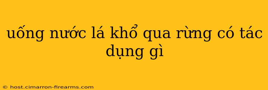 uống nước lá khổ qua rừng có tác dụng gì