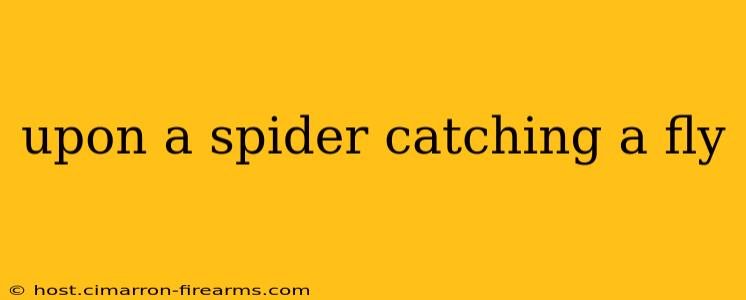 upon a spider catching a fly