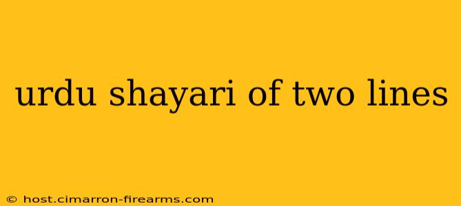 urdu shayari of two lines