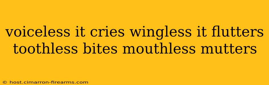 voiceless it cries wingless it flutters toothless bites mouthless mutters