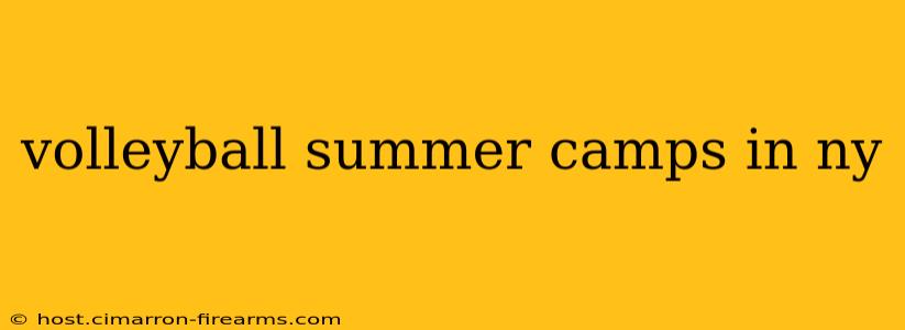 volleyball summer camps in ny