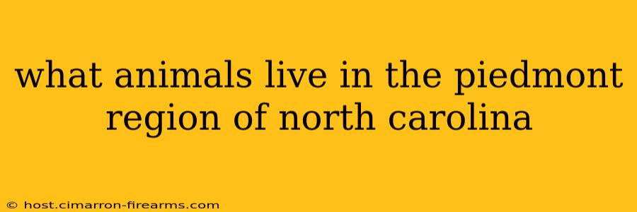 what animals live in the piedmont region of north carolina