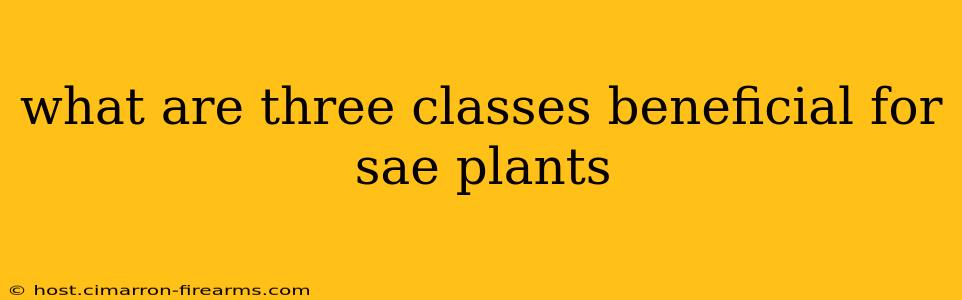 what are three classes beneficial for sae plants