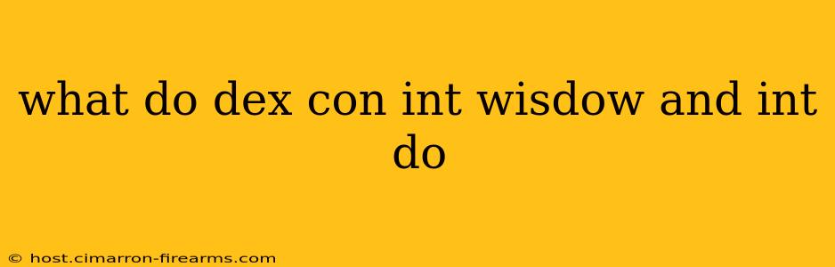 what do dex con int wisdow and int do