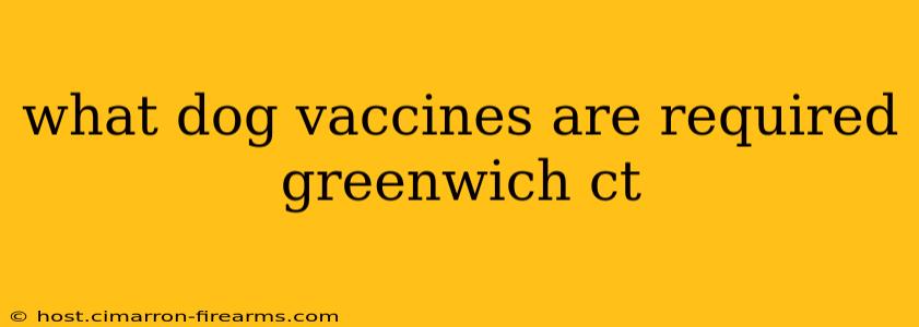 what dog vaccines are required greenwich ct