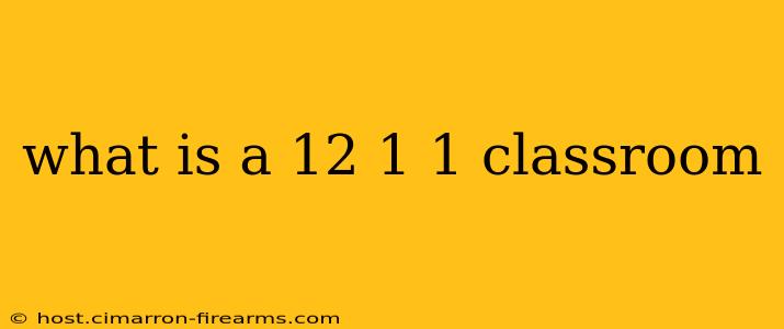 what is a 12 1 1 classroom