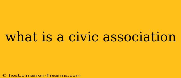 what is a civic association