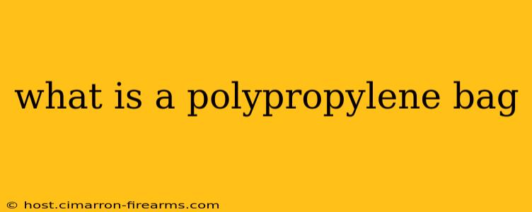 what is a polypropylene bag