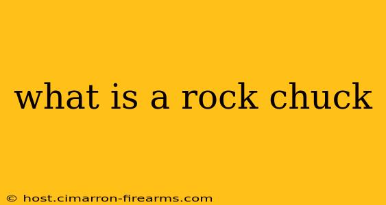 what is a rock chuck