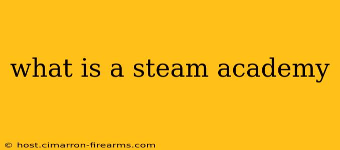 what is a steam academy