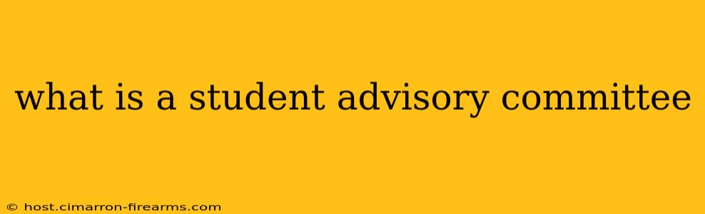 what is a student advisory committee