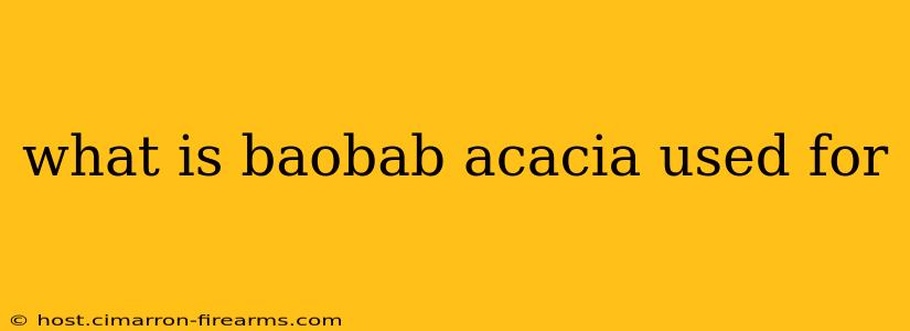 what is baobab acacia used for